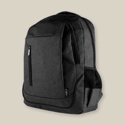 Picture of Backpack Rpet Statute